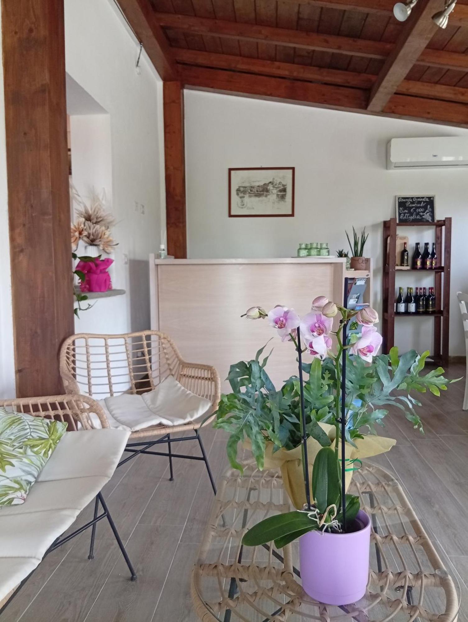 Agriturismo Santa Maria Марта Екстер'єр фото