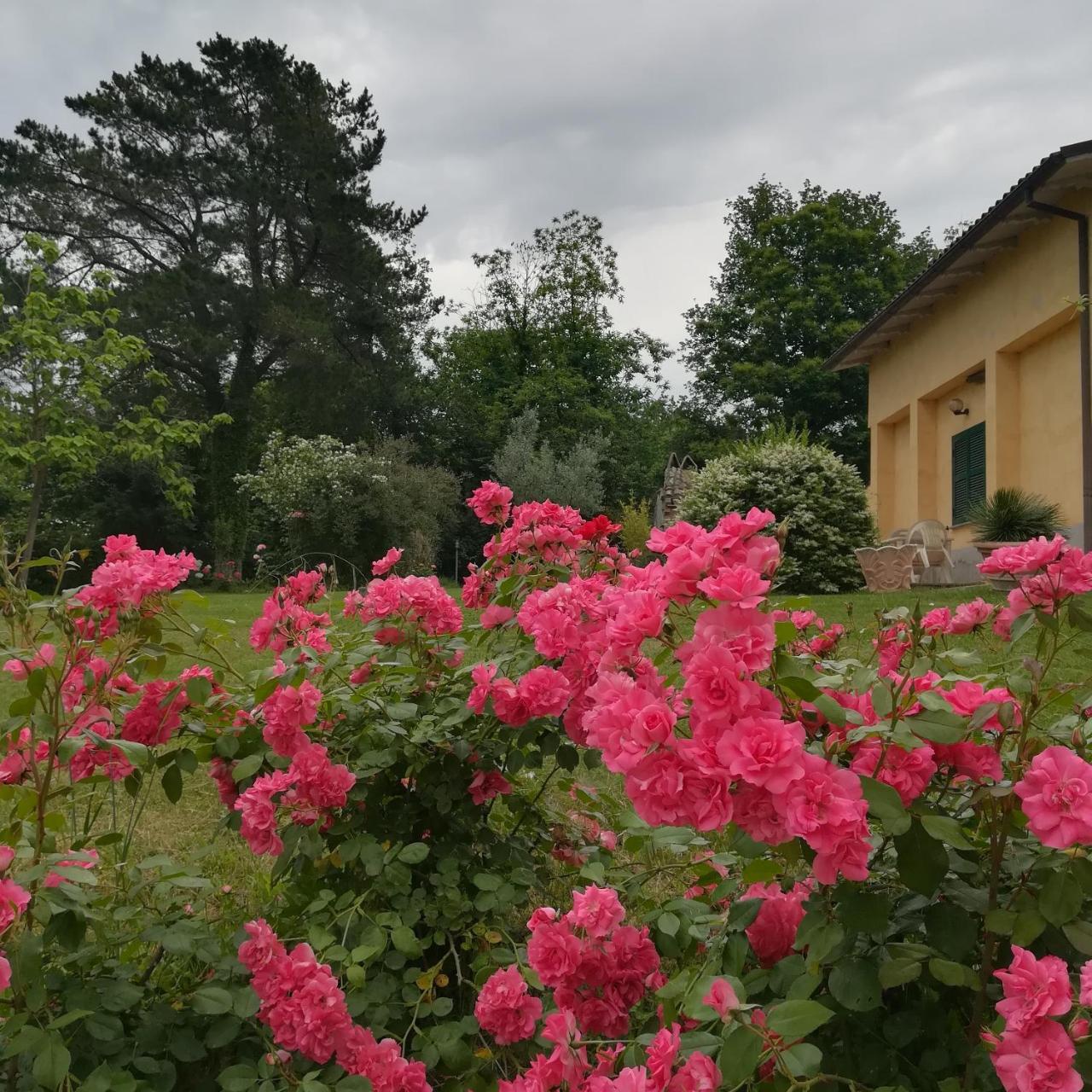Agriturismo Santa Maria Марта Екстер'єр фото