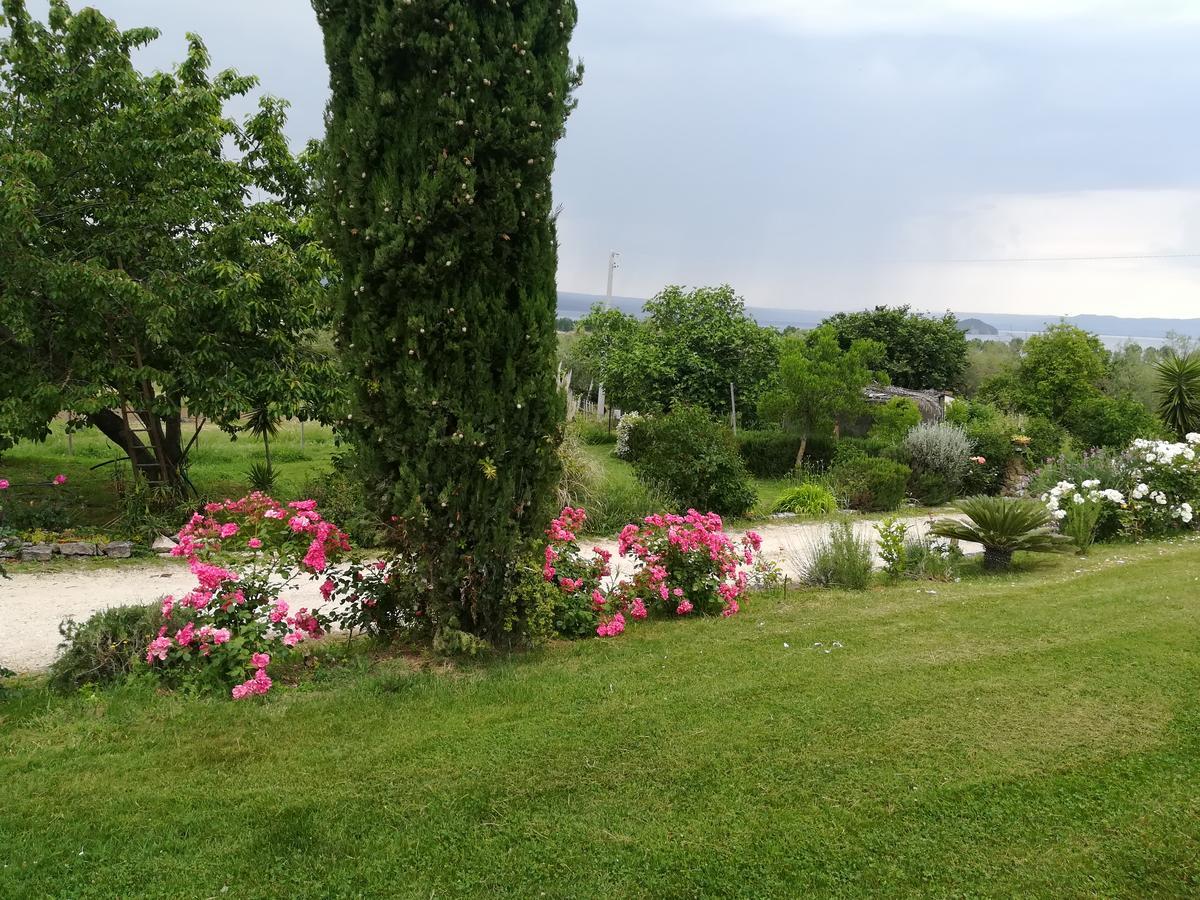 Agriturismo Santa Maria Марта Екстер'єр фото